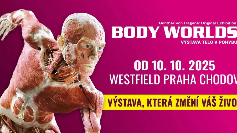 Body Worlds Praha Chodov